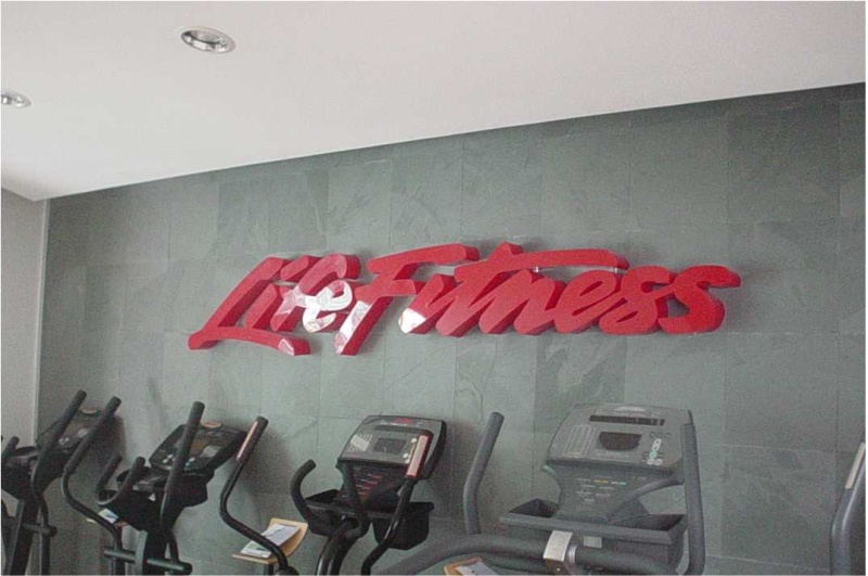 Life Fitness