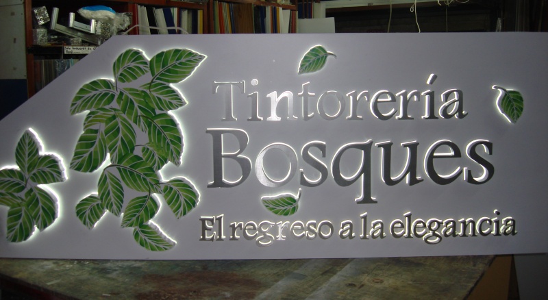 Tintoreria Bosques